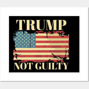 Trump Not Guilty Posters and Art